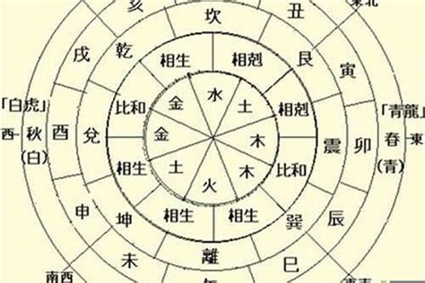 八字地支五行